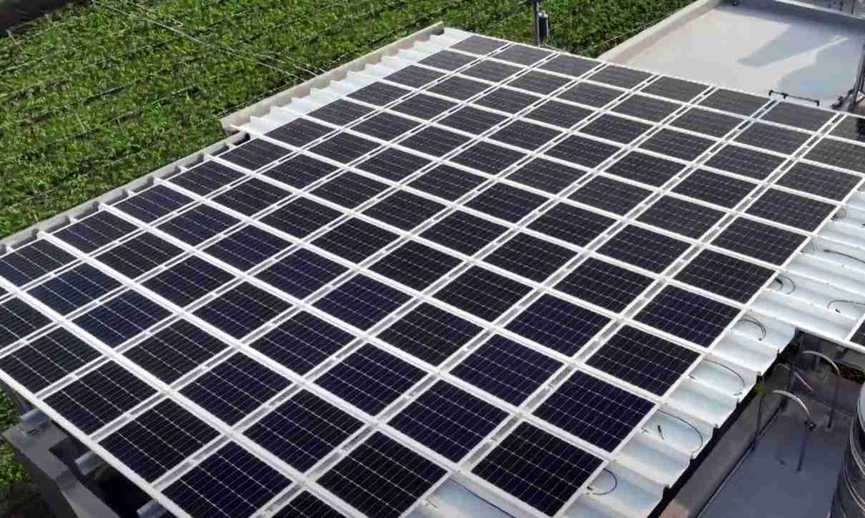 JDB电子SunSteel光电浪板升级双玻结构，，以提升机械负载强度及气候耐候度，，，可广泛运用于多元场域